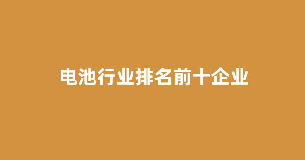 电池行业排名前十企业(电池行业排名前十企业有哪些)_https://www.nalian8.com_北交所_第1张