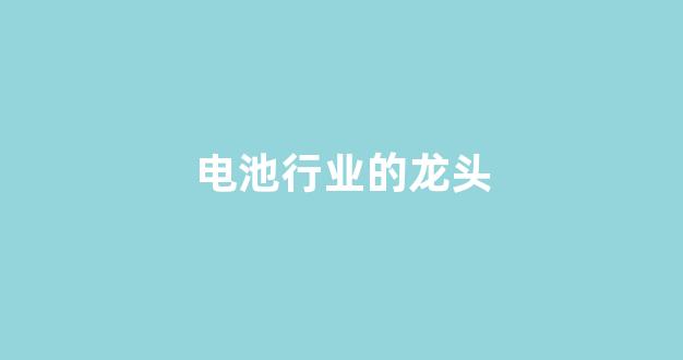 电池行业的龙头(电池行业的龙头股)_https://www.jnskb.com_装修流程_第1张