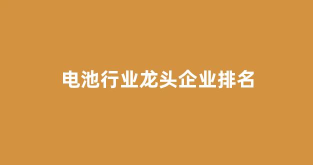 电池行业龙头企业排名(电池行业的龙头)_https://www.hhem8.com_创业板_第1张