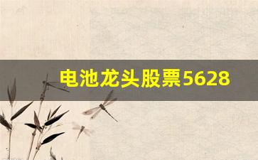 电池龙头股票562883(电池龙头股票)_https://www.wanyuyiyao.com_北交所_第1张