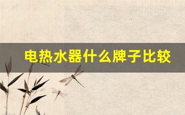 电热水器哪个牌子最好用-电热水器什么牌子比较好