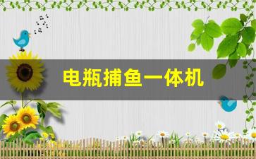 电瓶捕鱼一体机(电瓶捕鱼一体机和单独机那个好)_https://www.gen-fastener.com_郑商所_第1张