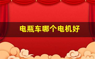 电瓶车哪个电机好(电瓶车什么牌子电机好)_https://www.eamstsz.com_深交所_第20张