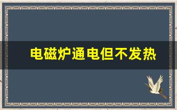 电磁炉通电但不发热-电磁炉通电但不发热怎么修