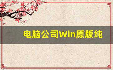 电脑公司Win原版纯净版