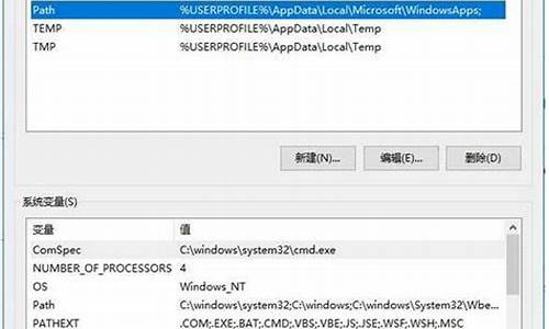 电脑系统变量默认值怎么设置-电脑系统变量默认值