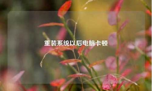 电脑系统重装显卡驱动会怎么样_电脑系统重装以后显卡驱动