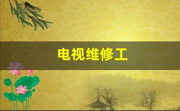 电视维修工人的绝遇电影-电视维修工