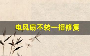 电风扇不转一招修复(电风扇不转一招修复视频)_https://www.wanyuyiyao.com_上交所_第1张