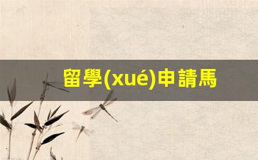 馬來西亞留學(xué)簽證申請攻略，詳述所需材料與申請步驟