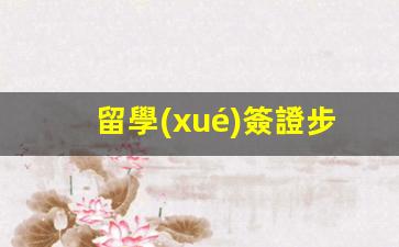 留學(xué)簽證步驟(留學(xué)簽證步驟是什么)