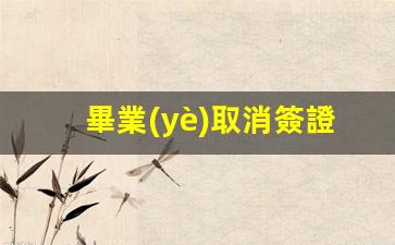 畢業(yè)取消簽證馬來西亞(馬來西亞取消簽證要多久)