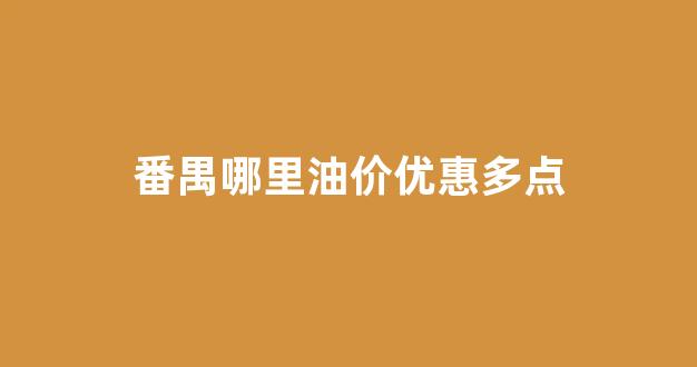 番禺哪里油价优惠多点_番禺加油最便宜的地方