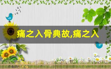 痛之入骨典故,痛之入骨故事,痛之入骨是什么意思-第1张图片-我的生活随想