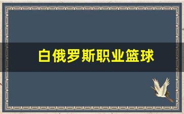 白俄罗斯职业篮球-白俄罗斯篮球明星
