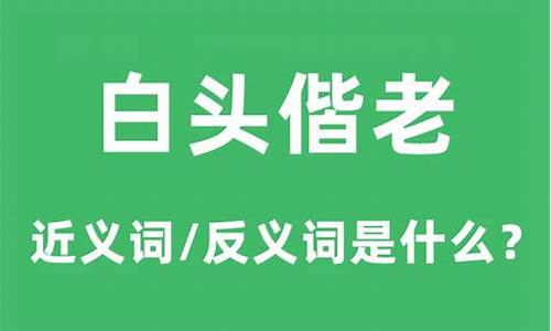 白头偕老例句-白头偕老的意思和造句