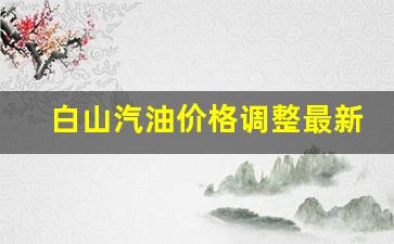 吉林省白山市今日汽油价格-白山汽油价格调整最新