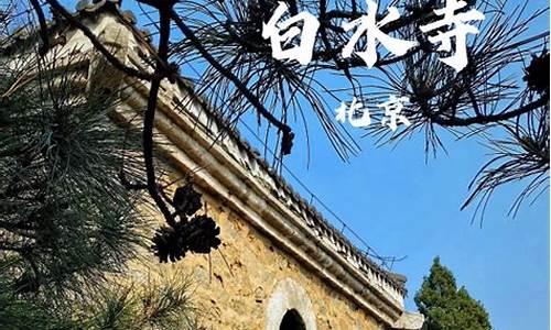 白水寺森林公园管理处_白水寺森林公园管理处电话