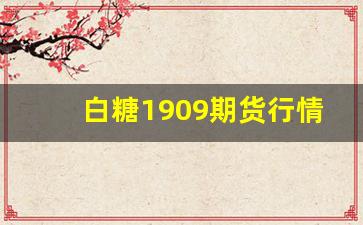 白糖1909期货行情(纽约白糖期货行情)_https://www.fzdzcxj.com_深交所_第1张