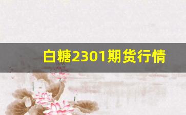 白糖2301期货行情(白糖主力期货行情)_https://www.tuogunzhijia.com_内盘期货_第1张
