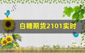 白糖期货2101实时行情(柳州白糖期货实时行情走势分析)_https://www.tuogunzhijia.com_黄金期货_第1张