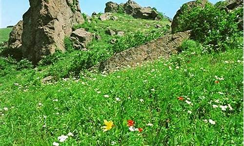 白草畔自然风景区60岁以上免票吗_白草畔自然风景区60岁以上免票吗现在