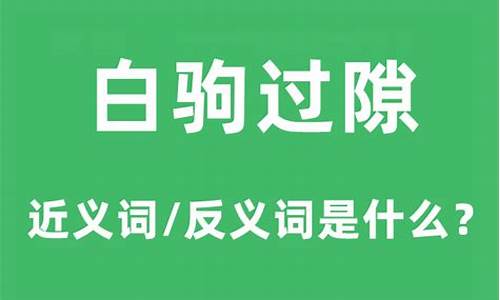 白驹过隙造句和意思是什么_白驹过隙的造句和意思