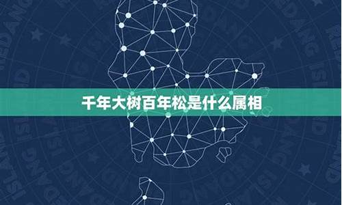 百年又百年打一生肖是什么含义_百年是啥意思