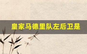皇家马德里队左后卫是谁-皇家马德里历史中后卫
