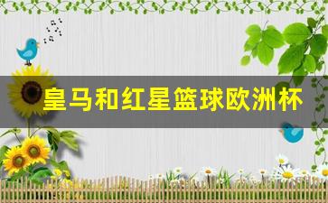 皇马和红星篮球欧洲杯-皇马和红马什么意思