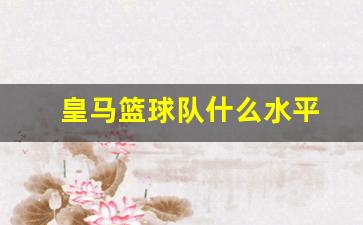 皇马篮球队什么水平-皇马篮球明星