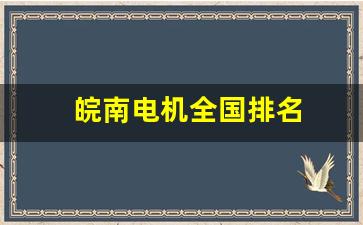 皖南电机全国排名(皖南电机在国内排名)_https://www.eamstsz.com_上交所_第1张