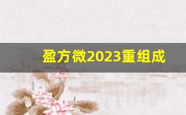 盈方微2023重组成功了吗(盈方微2021)_https://www.heiljjianzu.com_科创板_第1张