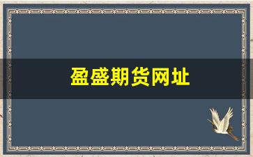 盈盛期货网址(民生期货网址)_https://www.xzdzcjn.com_北交所_第1张