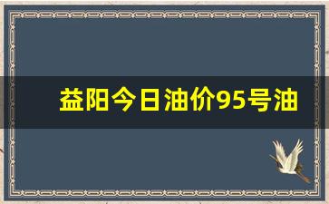 益阳今日油价95号油价多少-益阳今日油价最新消息