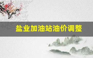 盐业加油站油价调整-盐镇加油站为啥又便宜