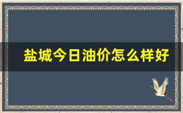 盐城今日油价怎么样好不好-盐城今日油价查