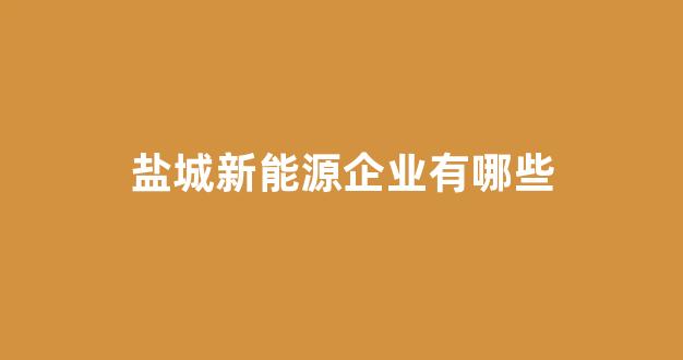 盐城新能源企业有哪些(盐城新能源工厂)_https://www.wguangz.com_上期所_第1张