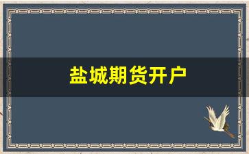 盐城期货开户(盐城期货开户办理条件)_https://www.xzdzcjn.com_上交所_第1张