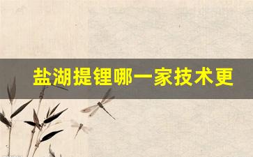 盐湖提锂哪一家技术更先进(盐湖提锂技术哪家强)_https://www.wguangz.com_上期所_第1张