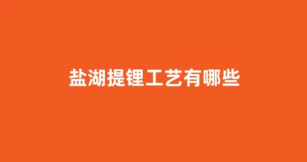 盐湖提锂工艺有哪些(盐湖提锂关键技术)_https://www.taocizhiliang.com_装修公司_第1张