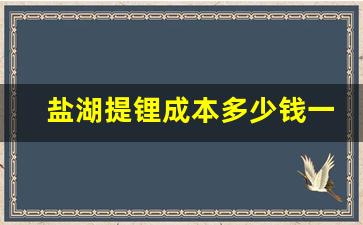盐湖提锂成本多少钱一吨(盐湖提锂成本高)_https://www.qldgs.com_原油期货_第1张