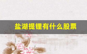 盐湖提锂有什么股票(盐湖提锂技术)_https://www.dcjwmf.com_大商所_第1张