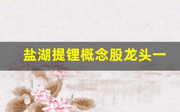 盐湖提锂概念股龙头一览(600328盐湖提锂概念股)_https://www.huakunhengjia.com_期货资讯_第1张