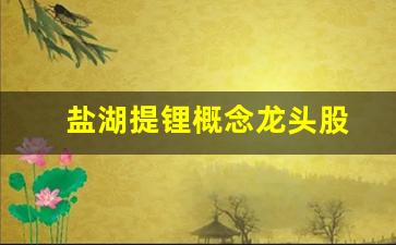 盐湖提锂概念龙头股(盐湖提锂龙头股排名)_https://www.wguangz.com_上期所_第1张