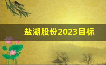 盐湖股份2023目标价位(盐湖股份 43.9)_https://www.qldgs.com_期货_第1张