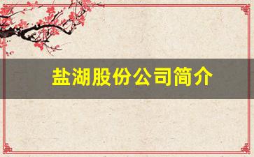 盐湖股份公司简介(盐湖股份公司简介北京分公司)_https://www.hhem8.com_北交所_第1张