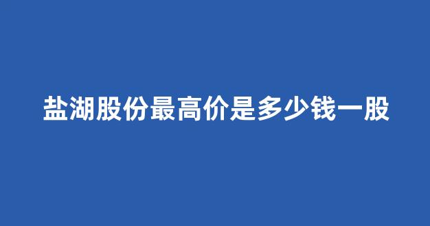 盐湖股份最高价是多少钱一股(盐湖股份的股票代码是多少)_https://www.eamstsz.com_科创板_第1张
