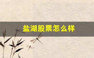 盐湖股票怎么样(盐湖股份k线图)_https://www.jumanxin.com_深交所_第1张