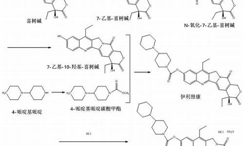 盐酸伊立替康40mg价格-盐酸伊立替康合成路线